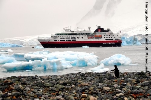 Hurtigruten arktis antarktis