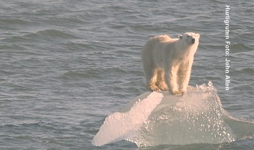 Hurtigruten Expedionen Arktis