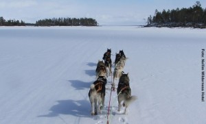 Finnland Winterreisen
