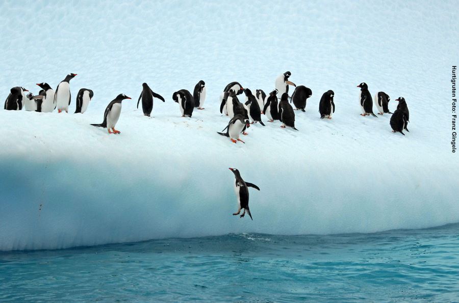  Antarktis Reisen 2025 / 2027 