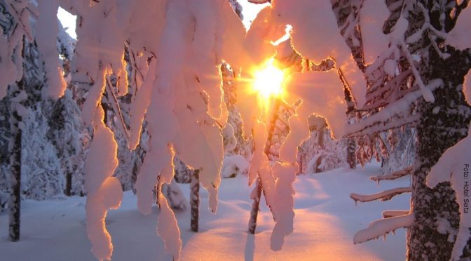 Lapplandreise Winter in Äkäslompolo