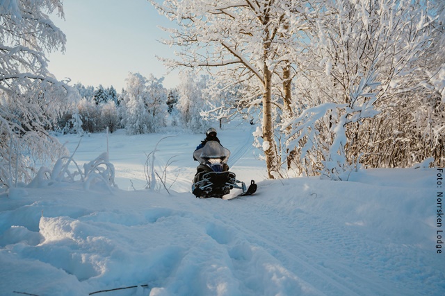 Winterreise Schwedens Norden - Schneemobil
