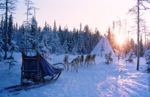 Winterreise - Das Beste von Lappland