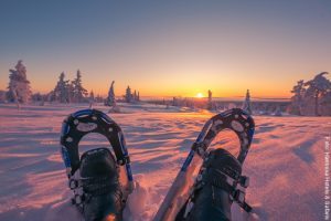 Schneeschuhwanderung Lappland