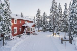 Winterreise Finnland Norden