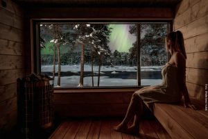 Wildnis Hotel Juutua Sauna