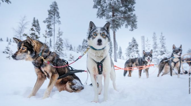 Winter Abenteuer Inarisee
