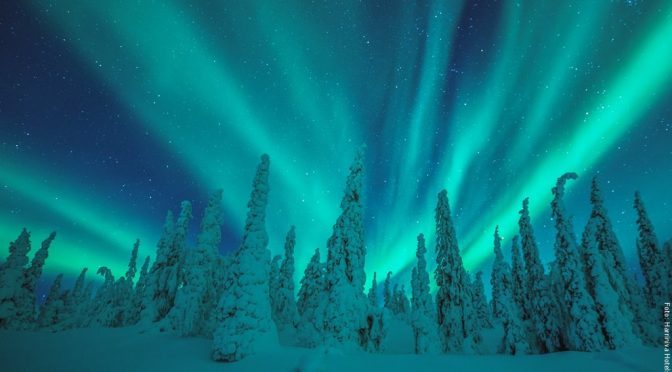 Polarlichter Reisen