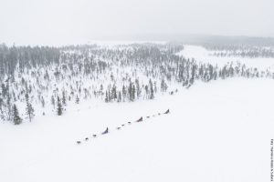 Lappland im Winer für Fortgeschrittene