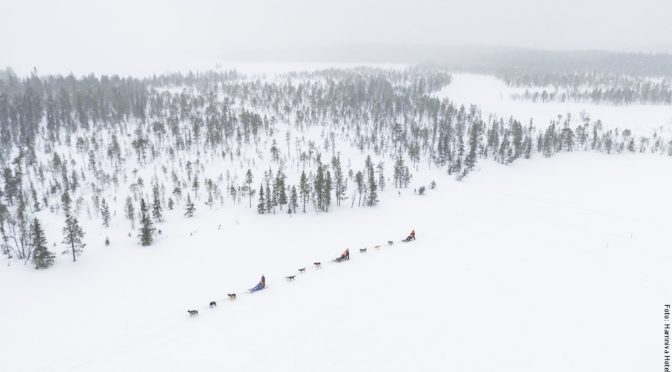 Lappland im Winter für Fortgeschrittene