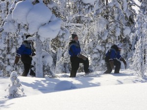 Schneeschuhwanderung Rovaniemi