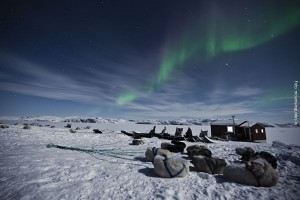Groenland Huskytour Nordlicht