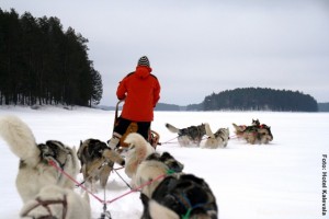 Finnland_Hundeschlittentour 