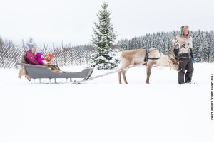 Rentierschlittenfahrt Karelien