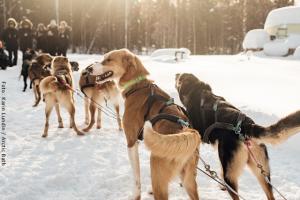 Huskyschlitten-Tour