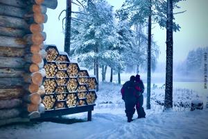 Exklusive Blockhütten in Lappland 