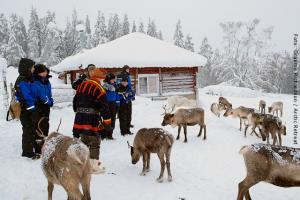 Besuch einer Sami Familie