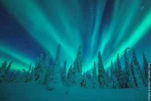 Nordlichter Lappland
