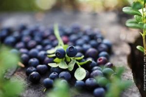 Finnland-Sommer-Beeren