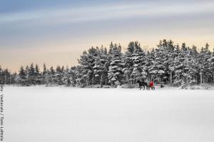 Weihnachten in Lappland - Schneelandschaft