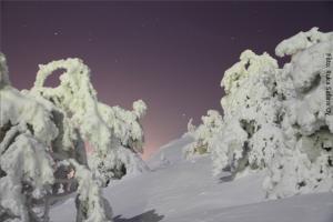 Winterreise Finnland's Norden