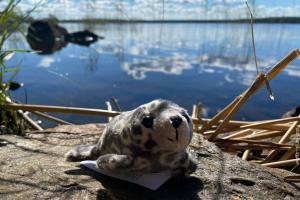 Gruesse vom Saimaasee Finnland