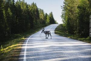 Reisen nach Finnland