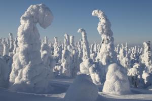 Winterreise Finnland-Lappland