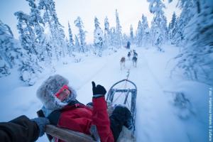 Winteraktivität Hundeschlittenfahrt