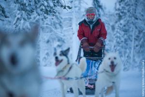 Winteraktivität Husky Safari
