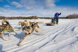 Husky-Safari-Inarisee