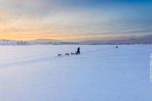 Husky Safari Inarisee