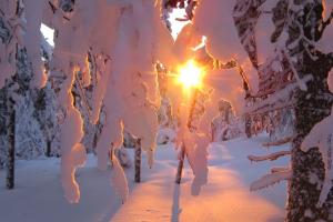 Lapplandreise_Winter_in_Aekaeslompolo_Seita