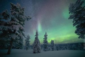 Nordlichter über Pyhä
