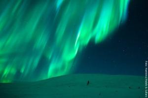 Nordlichter Phaenomen