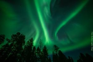 Polarlichter-in-Lappland NLV