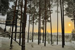 Schweden Winter Reisen - Baumhotel