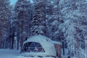 Torassieppi - Nordlicht Zelt