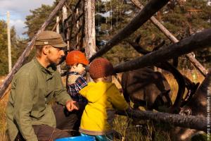 Rentierfarmbesuch in Torassieppi