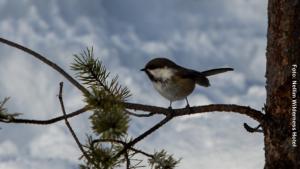 Winter_reisen_finnland