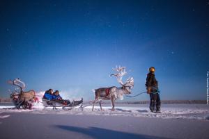 Winterreise - Das Beste von Lappland