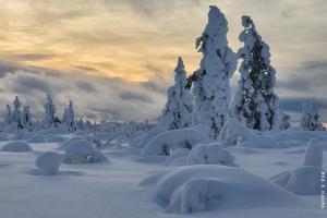 Lappland Wintertraum